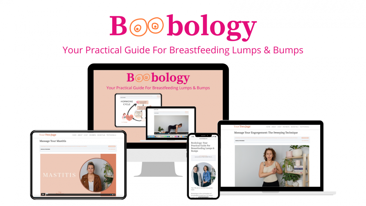 boobology banner